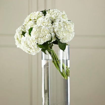 White Hydrangea Hand-Tied Bouquet – BELLE FLEURS & DESSINS, Lexington KY