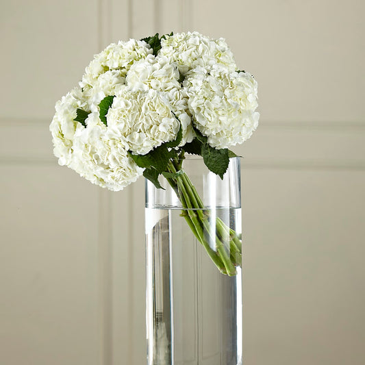 White Hydrangea Hand-Tied Bouquet – BELLE FLEURS & DESSINS, Lexington KY