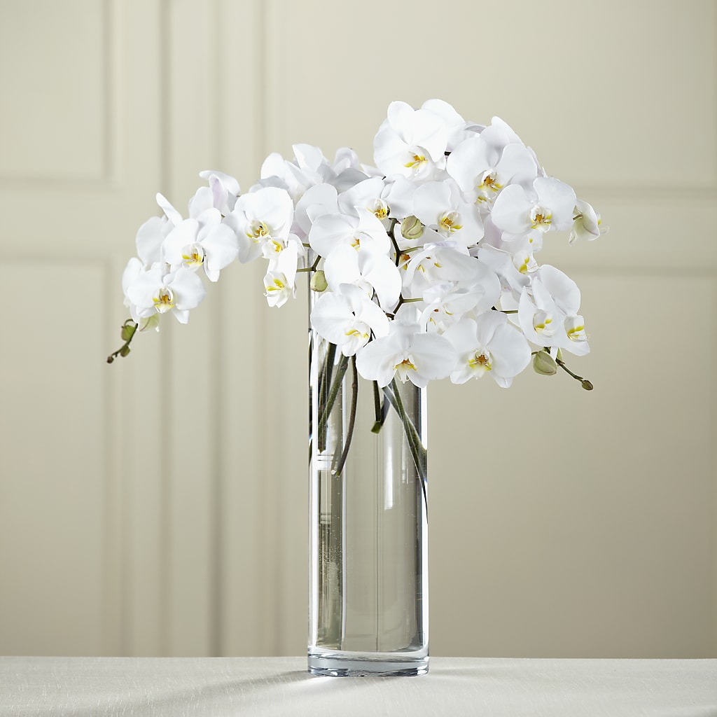 White Phalaenopsis Bouquet – BELLE FLEURS & DESSINS, Lexington KY