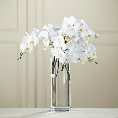 White Phalaenopsis Bouquet – BELLE FLEURS & DESSINS, Lexington KY