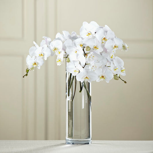 White Phalaenopsis Bouquet – BELLE FLEURS & DESSINS, Lexington KY