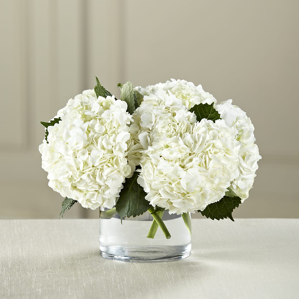 White Hydrangea Bouquet – BELLE FLEURS & DESSINS, Lexington KY