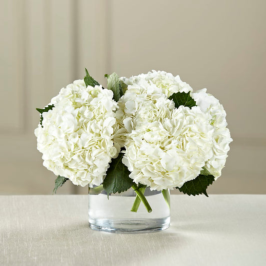 White Hydrangea Bouquet – BELLE FLEURS & DESSINS, Lexington KY