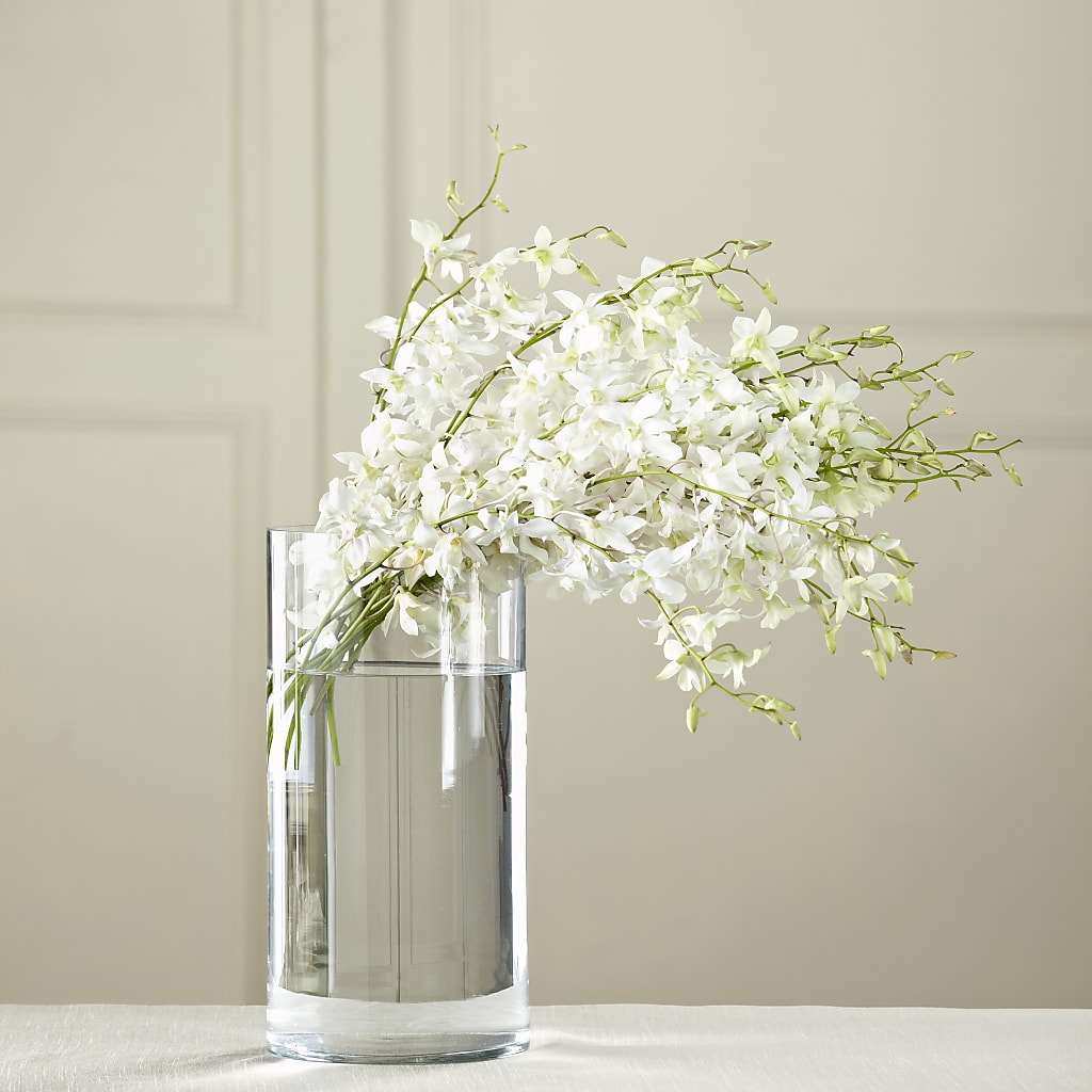 White Dendrobium Bouquet – BELLE FLEURS & DESSINS, Lexington KY