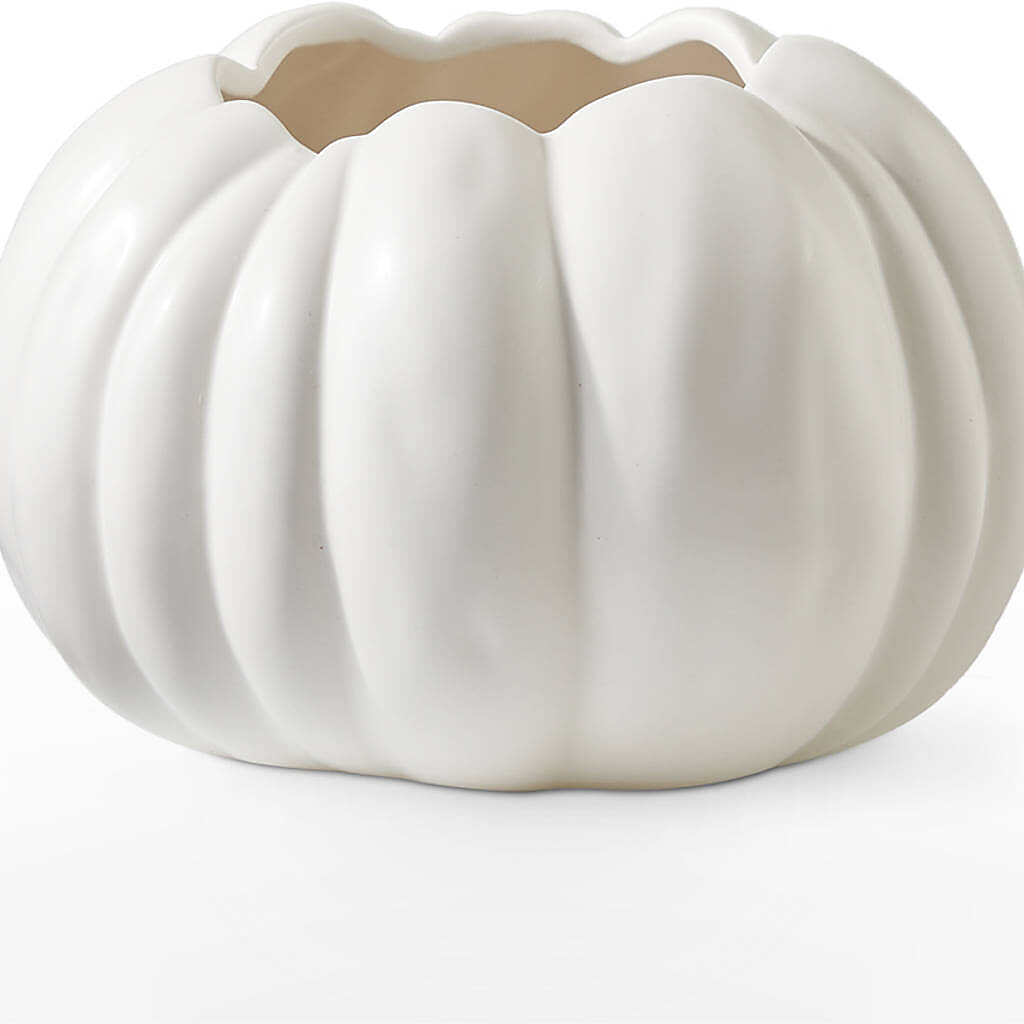 Pumpkin to Talk About Bouquet – BELLE FLEURS & DESSINS, Lexington KY